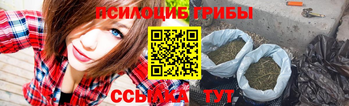 Красный Сулин  Псилоцибиновые грибы MAGIC MUSHROOMS  Вход с VPN 