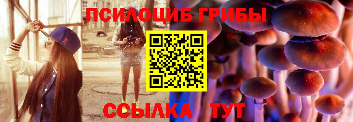 Псилоцибиновые грибы MAGIC MUSHROOMS Красный Сулин